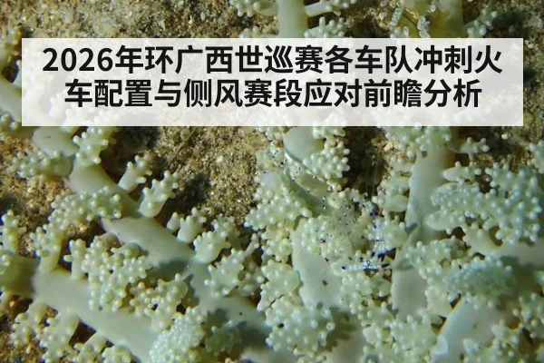 2026年环广西世巡赛各车队冲刺火车配置与侧风赛段应对前瞻分析